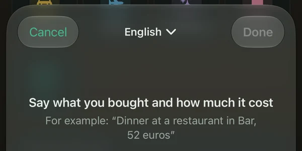 Voice input: say what you bought and how much it cost